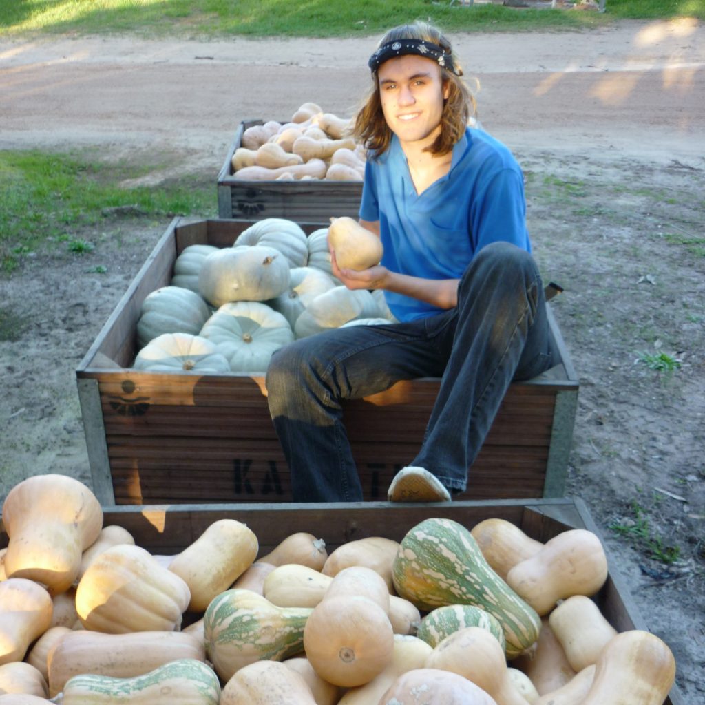 Older David &Amp; Pumpkin